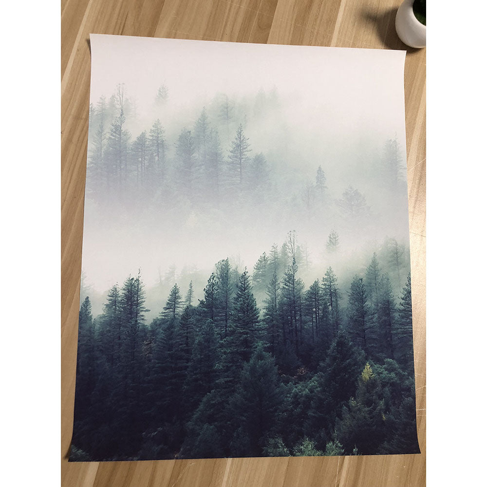 Lanscape Forest Canvas  Wall Art